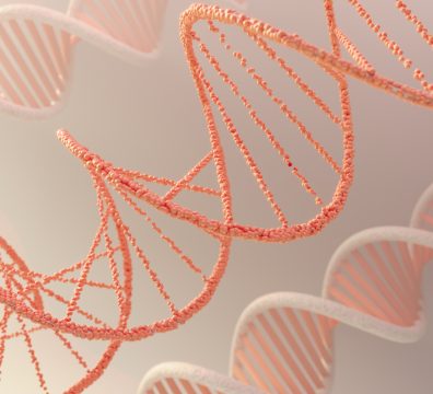 DNA Salmon